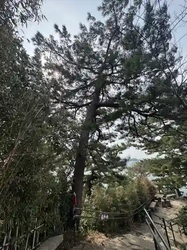 八大龍神社(愛知県)