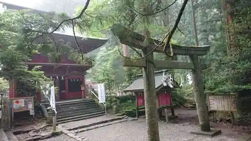 花園神社の鳥居