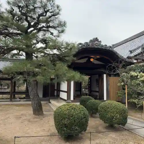 興聖寺の{uncategorized: "未分類", other: "その他", undefined: "問題あり", building: "その他建物", grave: "お墓", sacred_gate: "鳥居", guardian: "狛犬", statue: "像", buddha: "仏像", history: "歴史", nature: "自然", garden: "庭園", animal: "動物", pagoda: "塔", temizu: "手水舎", mountain_gate: "山門・神門", sanctuary: "本殿・本堂", subordinate: "末社・摂社", art: "芸術", scenery: "景色", jizo: "地蔵", ema: "絵馬", goshuin: "御朱印", omikuji: "おみくじ", items: "授与品その他", amulet: "お守り", goshuincho: "御朱印帳", eats: "食事", festival: "お祭り", votive_dance: "神楽", shichigosan: "七五三参", wedding: "結婚式", experience: "体験その他", initially: "初詣", around: "周辺", anti_infection: "感染症対策"}