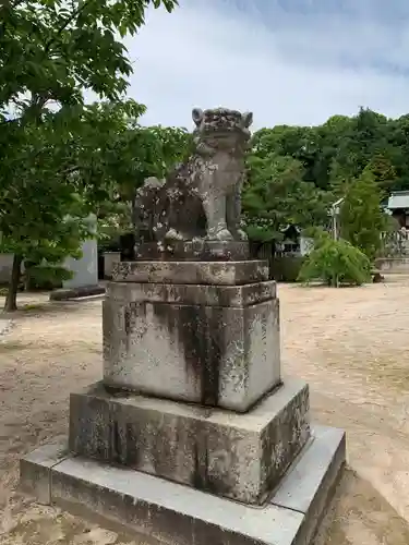 鶴羽根神社の狛犬