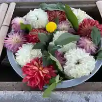 上野東照宮の手水舎