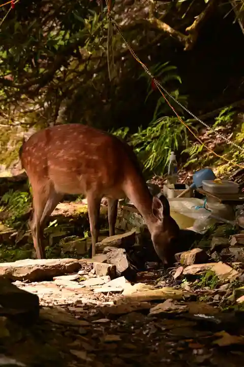 月輪寺(京都府)