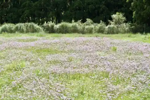 上の宮神社の自然