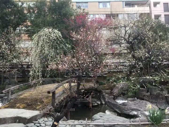 湯島天満宮の庭園