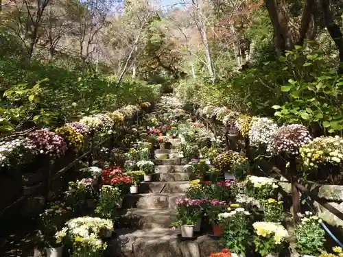 長谷寺(奈良県)