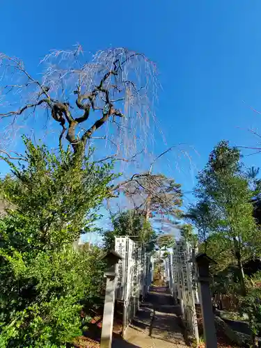 開成山大神宮(福島県)