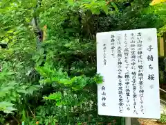 白山神社の自然