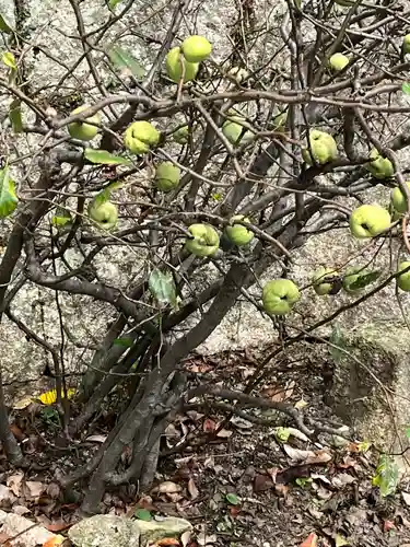 宝塚神社の自然