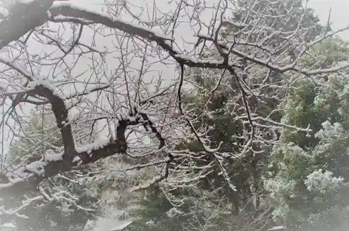 くまくま神社(導きの社 熊野町熊野神社)の景色