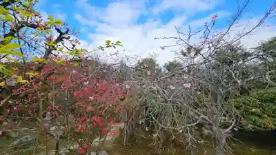 実光院(京都府)