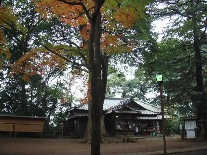 氷川女體神社の自然