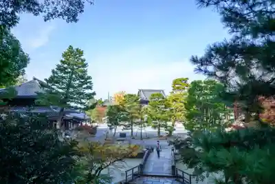 知恩院の本殿・本堂