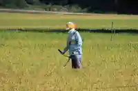 高司神社〜むすびの神の鎮まる社〜(福島県)