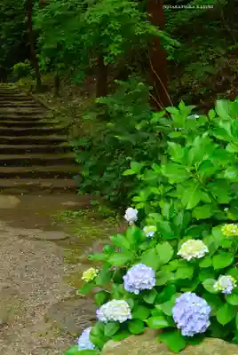 円覚寺(神奈川県)