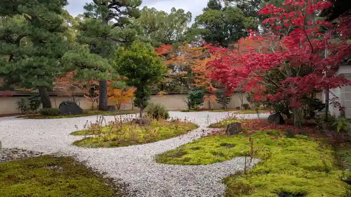 廬山寺(廬山天台講寺)(京都府)