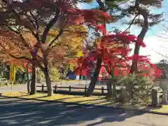 高麗神社の自然