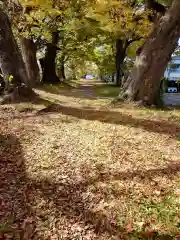 小内八幡神社(長野県)