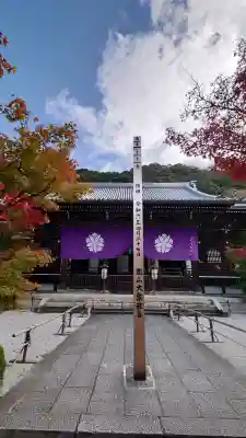 禅林寺（永観堂）の{uncategorized: "未分類", other: "その他", undefined: "問題あり", building: "その他建物", grave: "お墓", sacred_gate: "鳥居", guardian: "狛犬", statue: "像", buddha: "仏像", history: "歴史", nature: "自然", garden: "庭園", animal: "動物", pagoda: "塔", temizu: "手水舎", mountain_gate: "山門・神門", sanctuary: "本殿・本堂", subordinate: "末社・摂社", art: "芸術", scenery: "景色", jizo: "地蔵", ema: "絵馬", goshuin: "御朱印", omikuji: "おみくじ", items: "授与品その他", amulet: "お守り", goshuincho: "御朱印帳", eats: "食事", festival: "お祭り", votive_dance: "神楽", shichigosan: "七五三参", wedding: "結婚式", experience: "体験その他", initially: "初詣", around: "周辺", anti_infection: "感染症対策"}