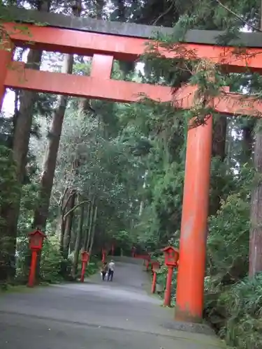 箱根神社の鳥居