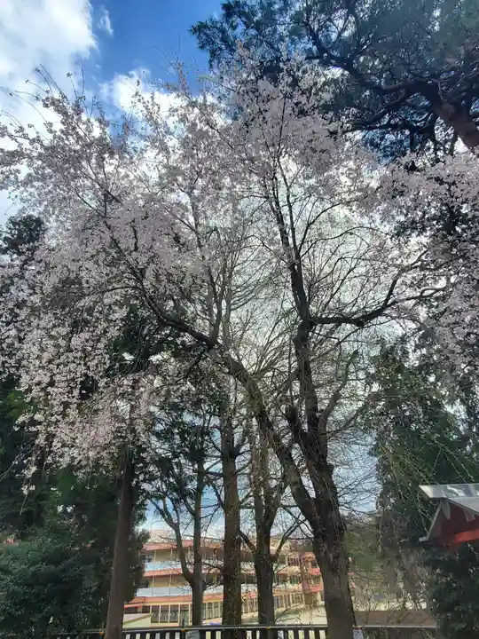 下野國一社八幡宮(栃木県)