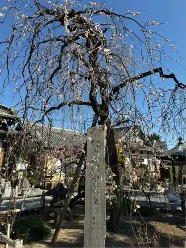 妙法寺(神奈川県)