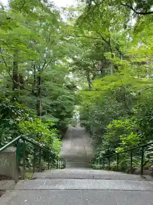 妙本寺の{uncategorized: "未分類", other: "その他", undefined: "問題あり", building: "その他建物", grave: "お墓", sacred_gate: "鳥居", guardian: "狛犬", statue: "像", buddha: "仏像", history: "歴史", nature: "自然", garden: "庭園", animal: "動物", pagoda: "塔", temizu: "手水舎", mountain_gate: "山門・神門", sanctuary: "本殿・本堂", subordinate: "末社・摂社", art: "芸術", scenery: "景色", jizo: "地蔵", ema: "絵馬", goshuin: "御朱印", omikuji: "おみくじ", items: "授与品その他", amulet: "お守り", goshuincho: "御朱印帳", eats: "食事", festival: "お祭り", votive_dance: "神楽", shichigosan: "七五三参", wedding: "結婚式", experience: "体験その他", initially: "初詣", around: "周辺", anti_infection: "感染症対策"}