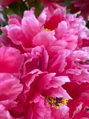 薬師院(兵庫県)