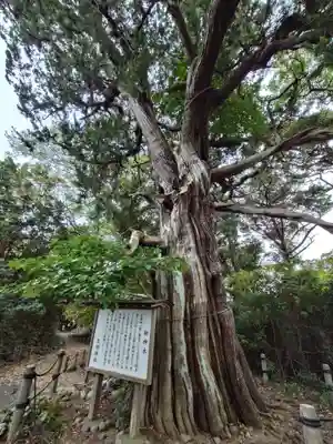 大瀬神社(静岡県)