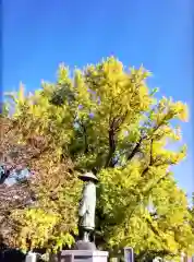 善福寺(東京都)