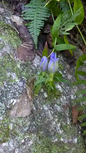 浄瑠璃寺(京都府)