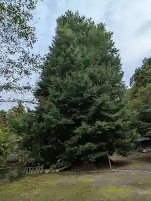 正法寺(埼玉県)