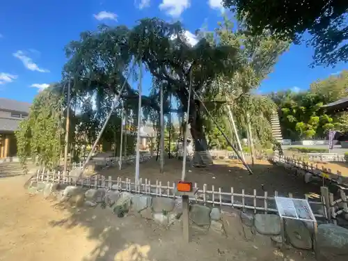 清瀧院(千葉県)