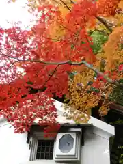 詩仙堂（丈山寺）(京都府)