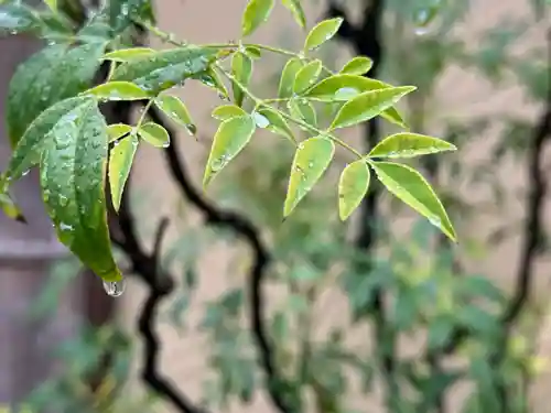 西方山極楽寺(岐阜県)