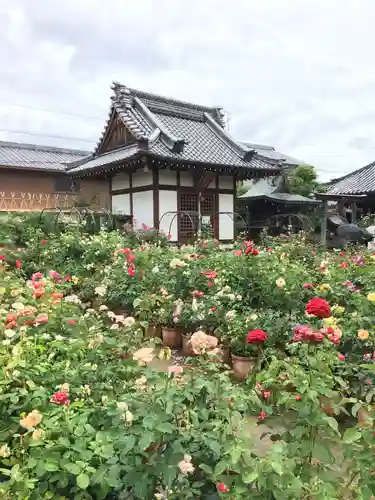 おふさ観音（観音寺）の本殿・本堂