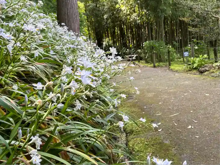 浄智寺(神奈川県)