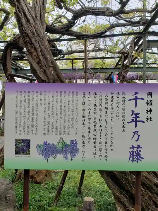 國領神社(東京都)