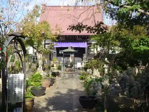 常泉寺の本殿・本堂