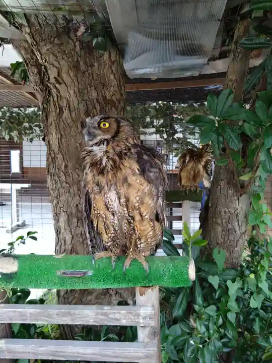 宮地嶽神社(福岡県)