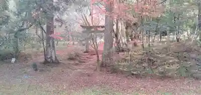 鍬山神社の鳥居