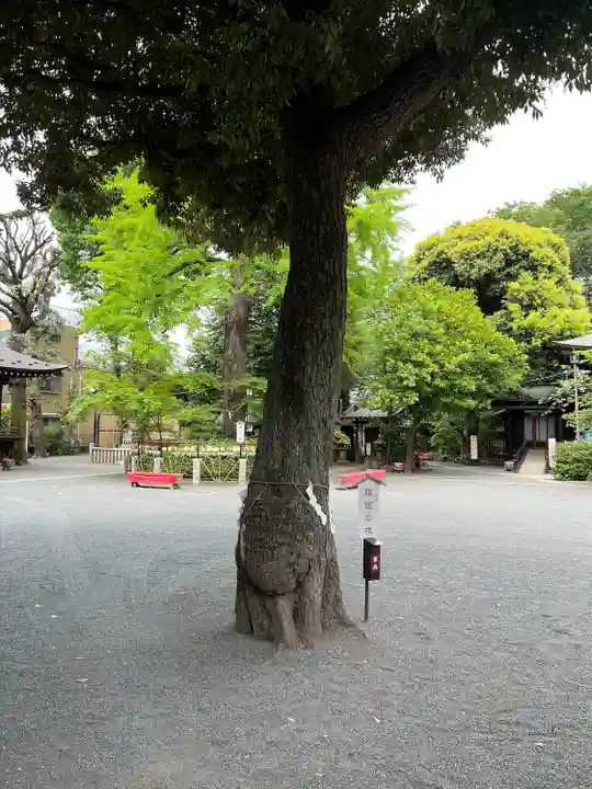 七社神社(東京都)