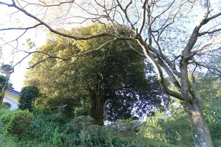 鹿島大神宮の庭園