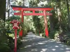 箱根神社の鳥居