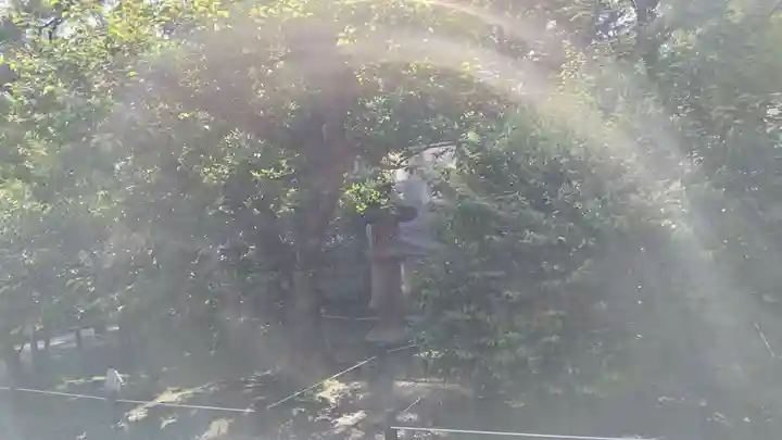 北野天満宮(京都府)