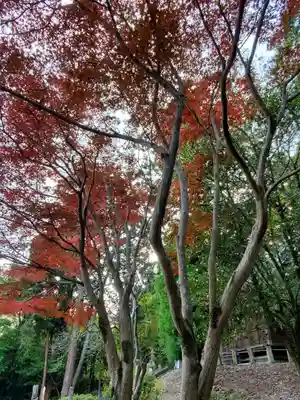 赤城神社 (勧農城跡)の自然