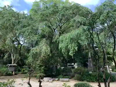 小松寺(茨城県)