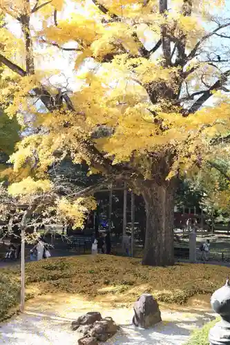 淨眞寺(東京都)