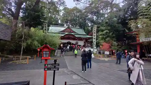 來宮神社(静岡県)