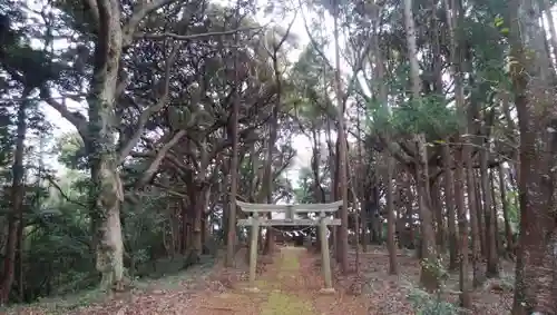 吉田神社の建物その他