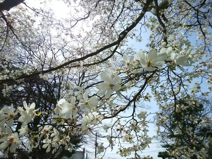 厚別神社(北海道)